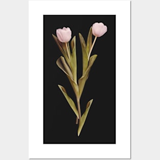 Beautiful Flowers 18 Posters and Art